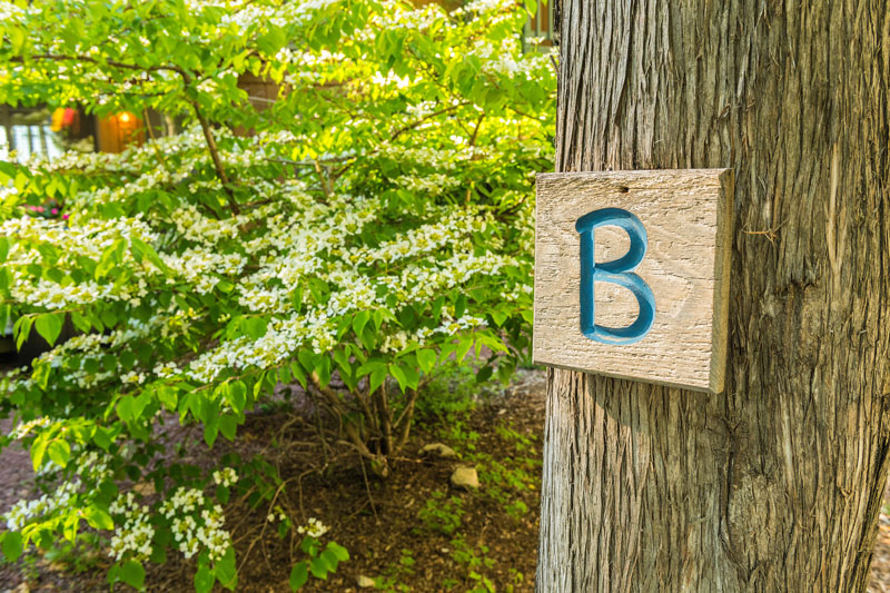 Tree with a wooden sign with the letter B