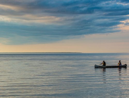 Why The Shallows is one of the Best Family-Friendly Resorts in Door County